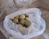 Foto del paso 1 de la receta: Compotas de duraznos con arroz 🍑🍑🍚