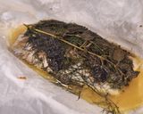 Fogas spárgával recept fázis 4 fotója