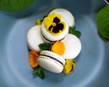 Foto del passaggio 16 della ricetta Ricetta biscotti MACARONS