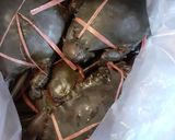 Foto langkah ke 1 dari resep Kepiting Saos Gurih.