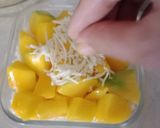 Foto langkah ke 4 dari resep Dessert Box Pudding Mangga Regal.