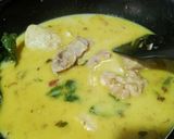 Foto langkah ke 3 dari resep 448.Opor ayam potong.