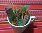 Foto del paso 4 de la receta: Barras de chocolate 🍫