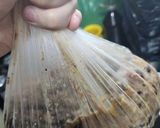 Foto del paso 8 de la receta: Secretito para ganar tiempo