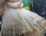 Foto del paso 8 de la receta: Secretito para ganar tiempo