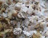 નાયલોન પૌંવા ચેવડો (Nylon Pauva Chevdo Recipe In Gujarati) રેસીપી સ્ટેપ3ફોટો