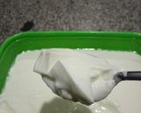 Yoghurt na dafawamatakin girki3 hoto