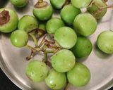 ગુંદા નું શાક (Gunda Shak Recipe In Gujarati) રેસીપી સ્ટેપ1ફોટો