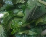 Foto langkah ke 1 dari resep Tumis Pakcoy Kol Ungu.