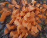 A picture of step 3 of My Big Cottage Pie 😁.