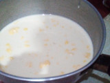 Gabin fla susu