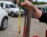 Foto del paso 7 de la receta: Calçot