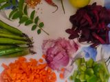 সূজির উপমা (Sujir Upama)