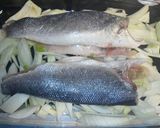 Foto del paso 2 de la receta Lubina al hinojo