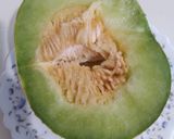 عکس مرحله 3 از دستور دسر طالبی بستنی solmaz