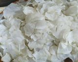 A picture of step 8 of Sun dried Potato Chips.