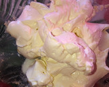 Foto del paso 3 de la receta: Cheesecake sin horno con casancrem