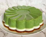 Foto langkah ke 9 dari resep Puding Kacang Hijau.