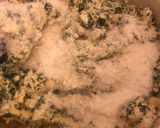 Foto del paso 2 de la receta: Malfatti de espinaca y ricotta sin harinas- Mi versión!