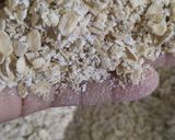 Foto del paso 1 de la receta: Galletitas de avena