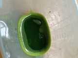 Bolu Pandan suji