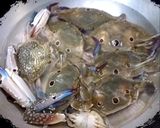 รูปขั้นตอนการทำที่ 1 ของ 🦀🦀ปูดาวต้มน้ำจิ้มซีฟู้ด🦀🦀