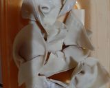 Foto langkah ke 2 dari resep Wonton Sup.