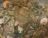 Foto del paso 5 de la receta: Wok de verduras y gambas con aceite esencial de frutos secos
