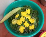 Hình bước làm 1 của món Canh cua