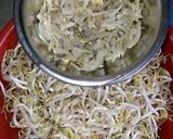 Foto langkah ke 1 dari resep Tumis Taoge Teri Medan.