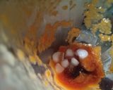 A picture of step 1 of Sweet Papaya Smoothie.