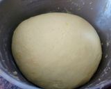 Foto del paso 4 de la receta: Pan dulce navideño