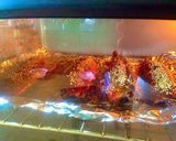 Hình bước làm 5 của món Cá Sanma nướng sốt Teriyaki