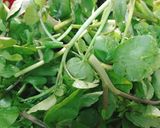 Hình bước làm 1 của món Canh Xà Lách Xoong Hầm Thịt Bò