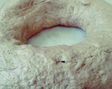 Foto del paso 3 de la receta: Rosca de reyes o Pascua sin manteca con  crema pastelera al dulce de leche 🐫🐫🐫