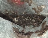 Foto del paso 6 de la receta: Torta helada de oreo una💣😄🤩😍😋