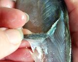 Hình bước làm 2 của món Cá sòng chiên mắm tỏi