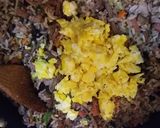 Foto del paso 5 de la receta: Arroz frito