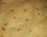 Foto del paso 4 de la receta: Torta húmeda con manzana o cualquier otra fruta