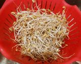 Foto langkah ke 1 dari resep Tumis tauge baso sapi petai (soybean sprout stir fry).