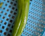 A picture of step 1 of Stuffed bhavnagari chillies.