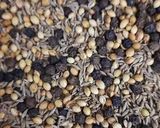 A picture of step 1 of Jeera Masala.