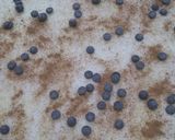 Foto del paso 3 de la receta Rollos canela hojaldre