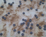 Foto del paso 3 de la receta: Rollos canela hojaldre