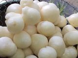 Cimol montoks no mleduk2 ala buyo