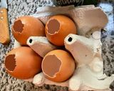 Une image de l'étape 7 de 🪺🌱Œufs 🥚 de Pâques fête le printemps🪻.