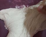 Foto langkah ke 6 dari resep Sourdough Bread.