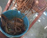 Foto del paso 9 de la receta: Tamal de mole negro en hoja de palma de plátano