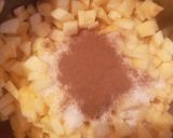 Foto del paso 1 de la receta: Empanadas de manzana y nuez Fabiola