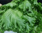 Hình bước làm 1 của món Salad ngũ sắc trộn dầu ôliu